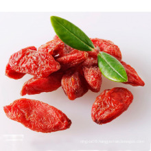 Good Healthy Nature Taste Goji Organic Dried Goji Seeds Red Other Preserved Ningxia Goqi Sweet High Grade 10kg/carton 5 Kg 50g